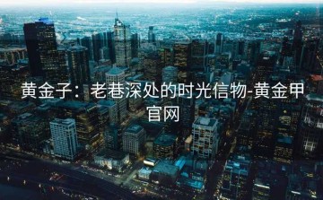 黄金子：老巷深处的时光信物-黄金甲官网