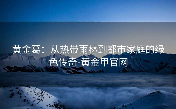 黄金葛：从热带雨林到都市家庭的绿色传奇-黄金甲官网