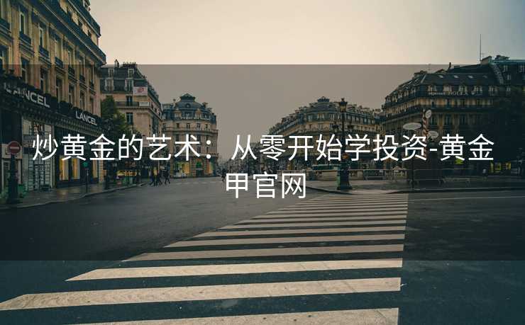 炒黄金的艺术：从零开始学投资-黄金甲官网