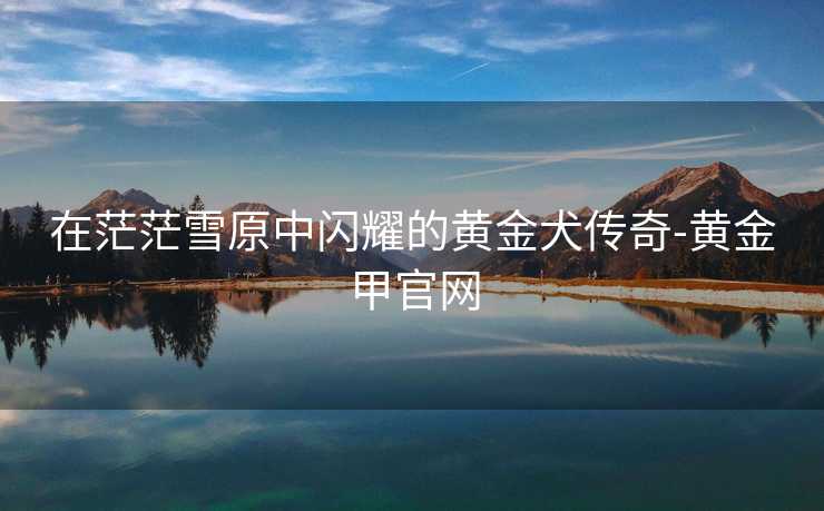 在茫茫雪原中闪耀的黄金犬传奇-黄金甲官网