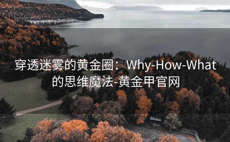穿透迷雾的黄金圈：Why-How-What的思维魔法-黄金甲官网